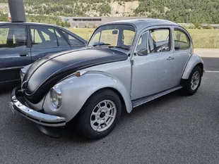 VW 1302s